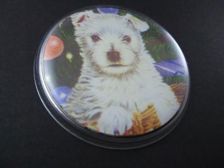 Highland White Terrier ( Westie) gezinshond ,clip speld